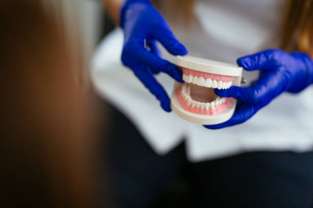 Best Preventive Dentistry  in Ladson, SC